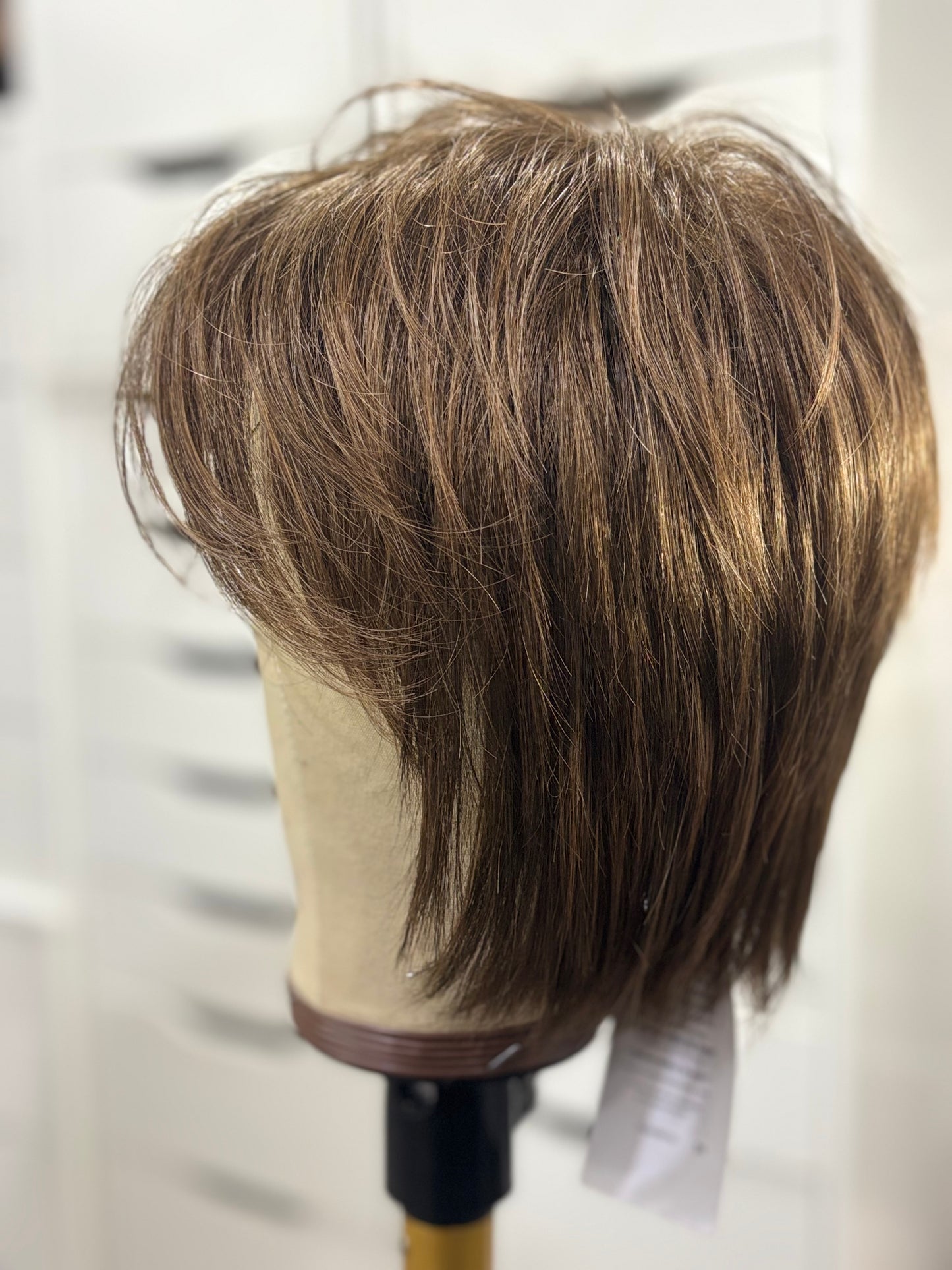 PAULA YOUNG - SAMMIE